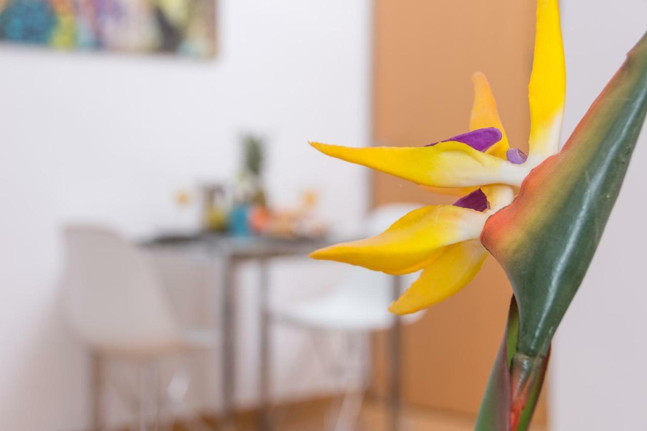 Magnifico Estudio En Bolsa 6. Ac. Appartement Málaga Buitenkant foto